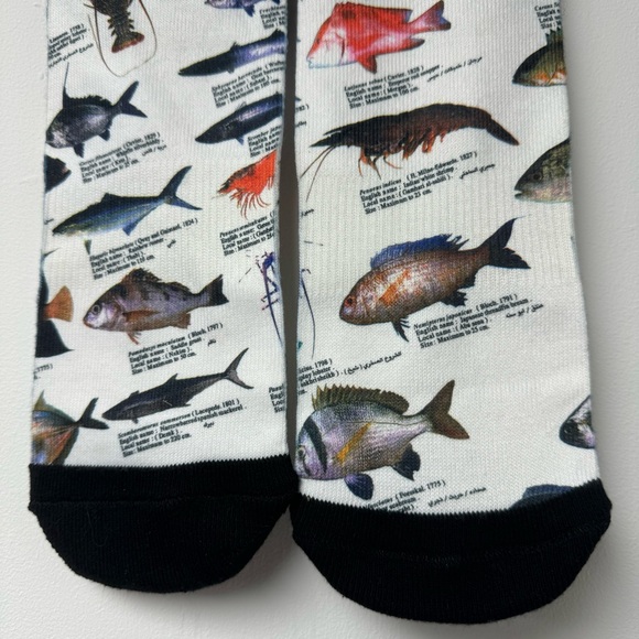 ODD SOX unisex salt water fish novelty socks - Picture 4 of 7
